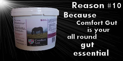 Constant Comfort™ Plus, Total Gut Health Supplement